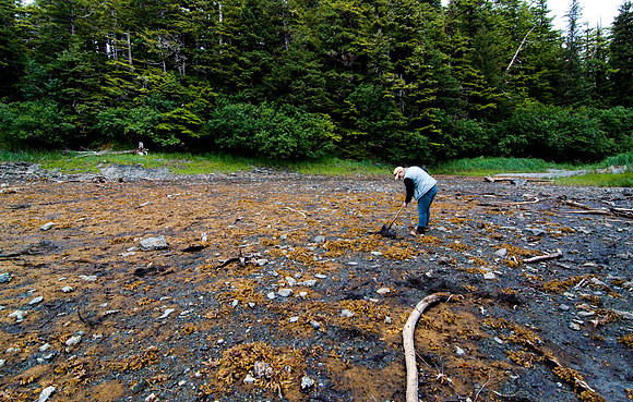 Alaskan radio broadcaster and former fisher Shannyn Moore digs into 'diesel beach' in March 2010.