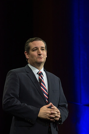 Texas Senator Ted Cruz