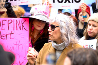 Lizz Winstead of the Lady Parts Justice League speaks to the media about Fox News.