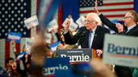 New Hampshire 2020 Democratic Primary