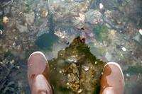 Little Tutka, Alaska - Hike Around