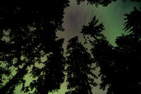 Little Tutka, Alaska - Aurora, Eagles and more