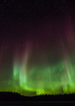 Aurora in Alaska