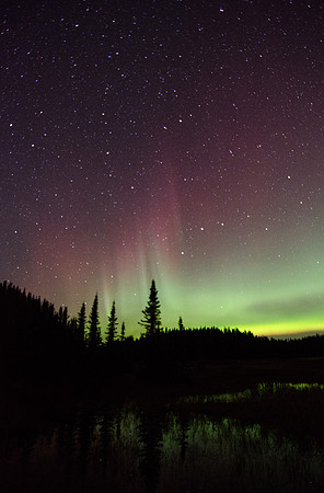 Aurora in Alaska